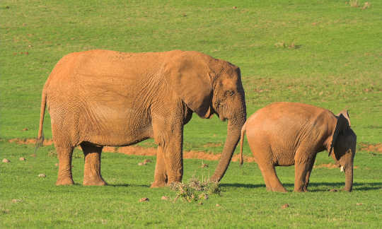 nudging behavior 3 6